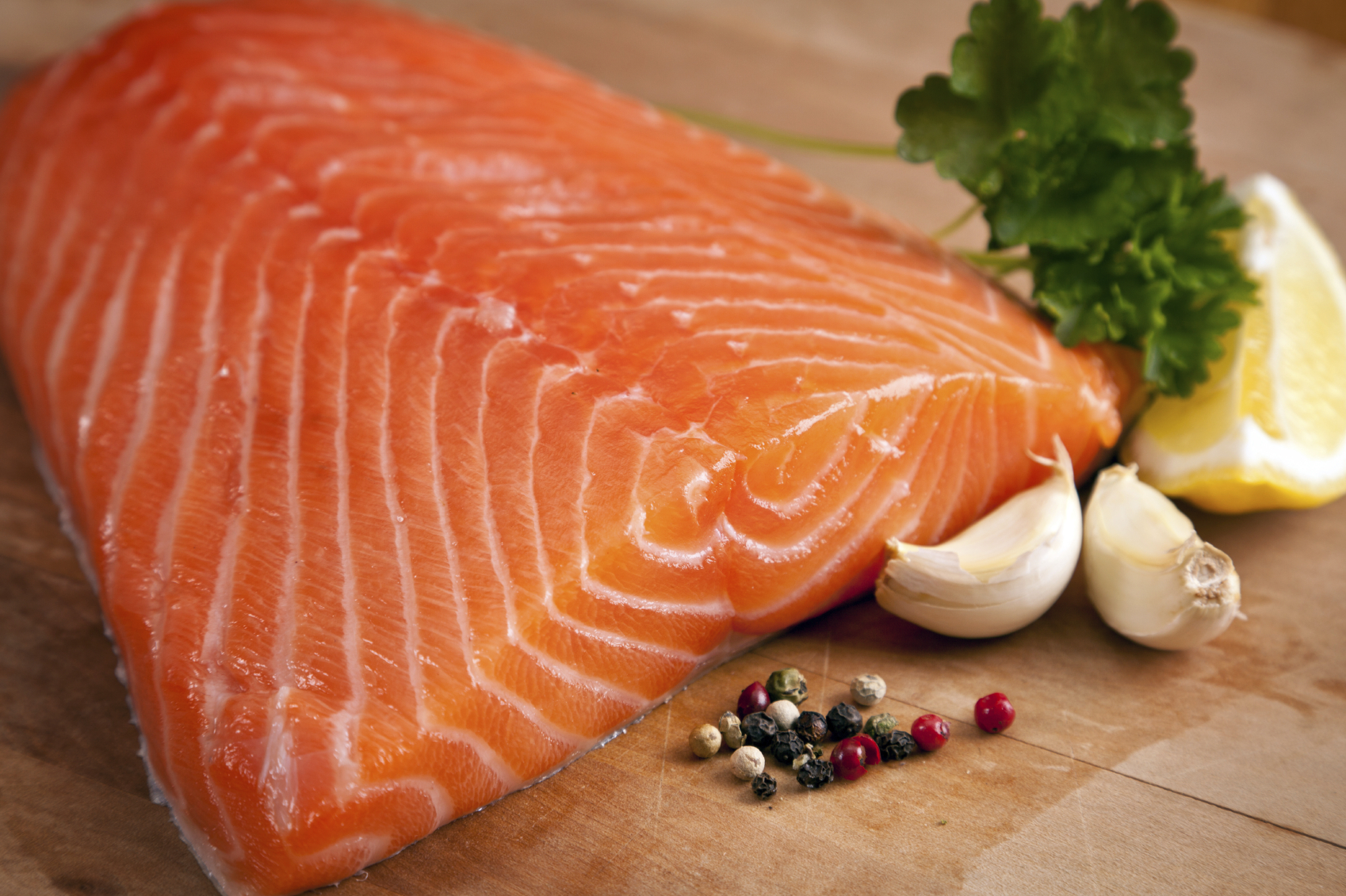 Salmon