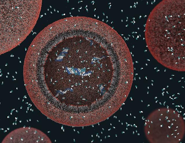 Your cells have been dividing since the Earth began