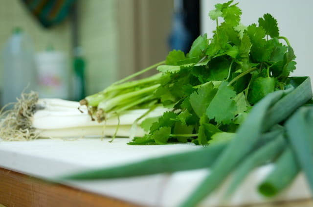 Cilantro