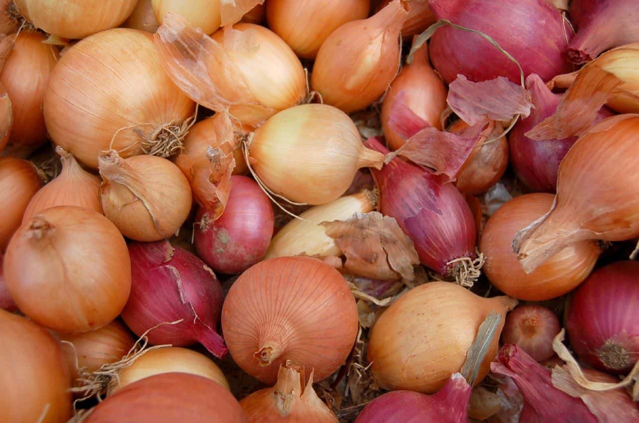 Onions