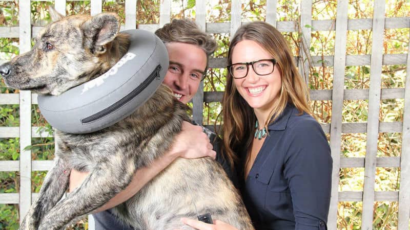 Adopting a pet is a strong moral choice