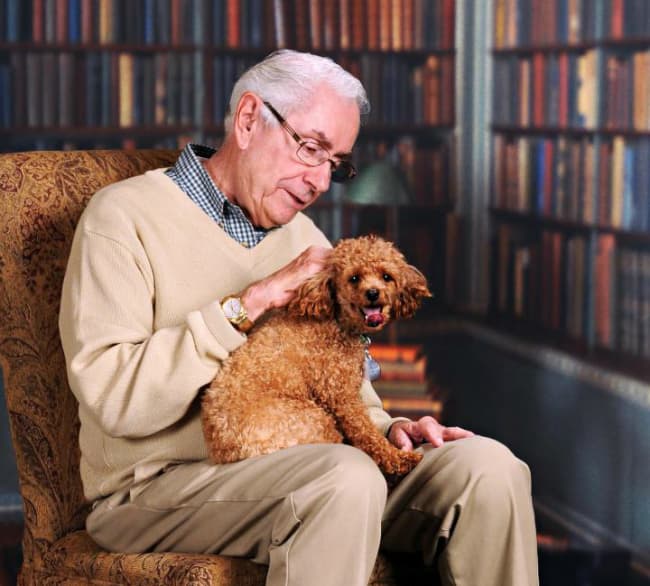 Taking home a shelter animal is good for your health