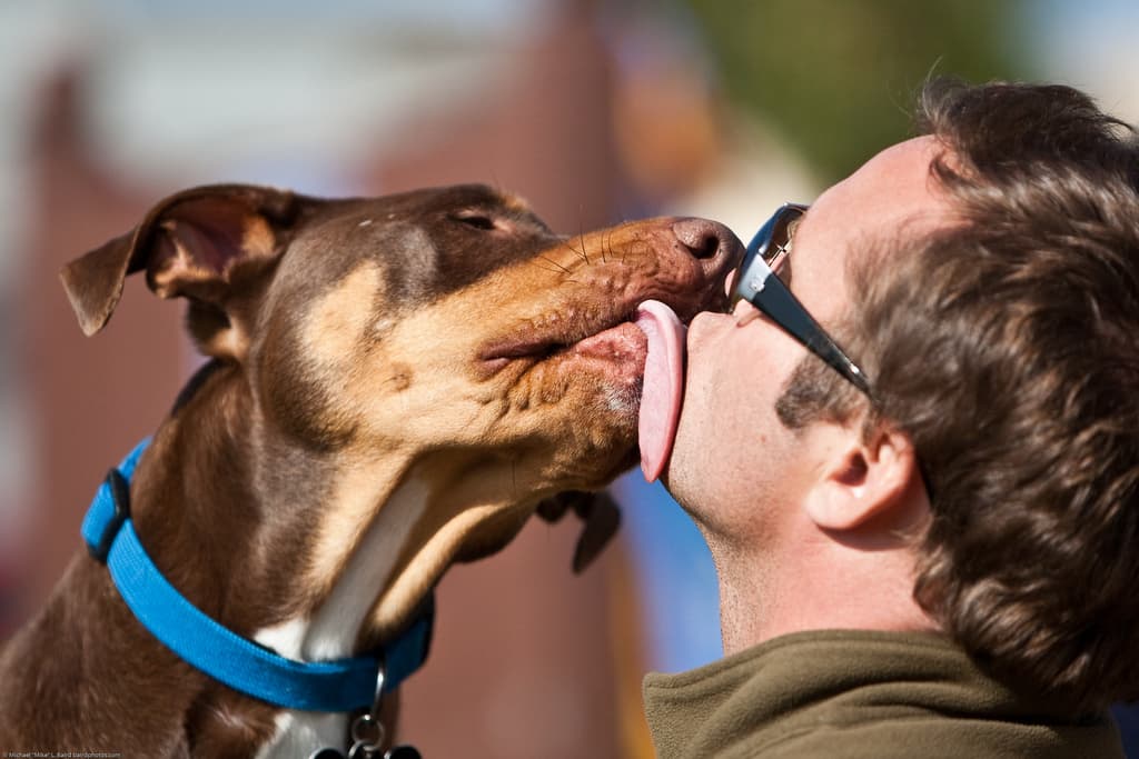You free up space for new dogs to be saved