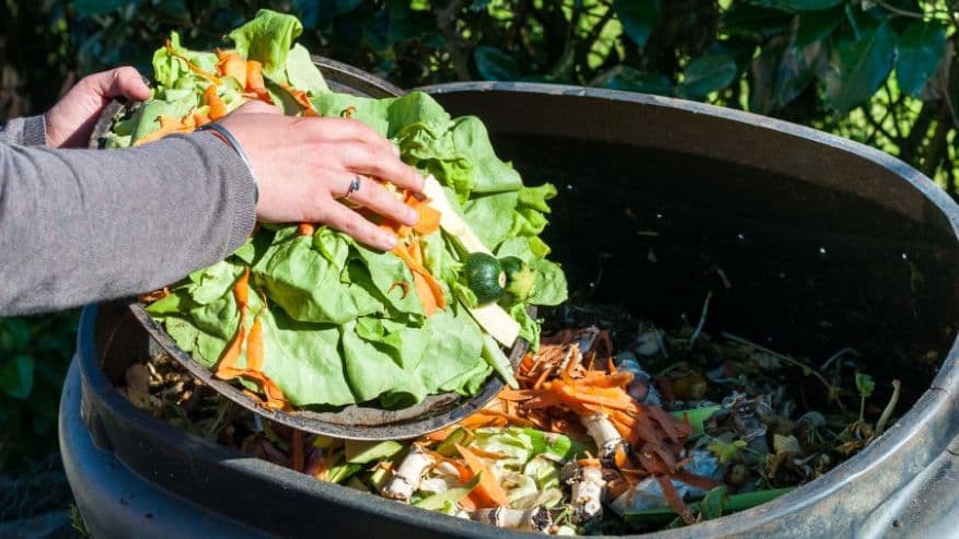 Over 2,000 pounds of edible food is thrown away in the U.S.A.