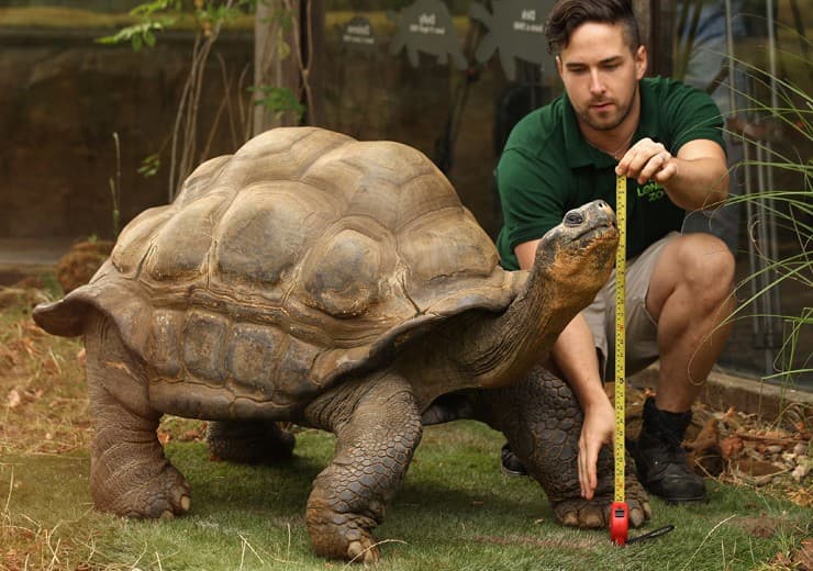London Zoo - England.
