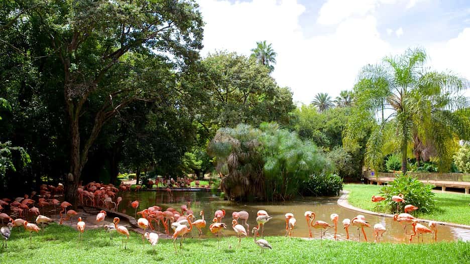 National Zoological Gardens of South Africa - Gauteng, South Africa