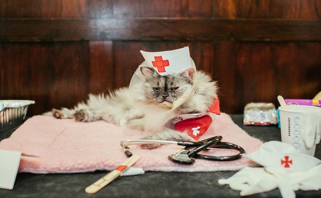 Not My Doctor