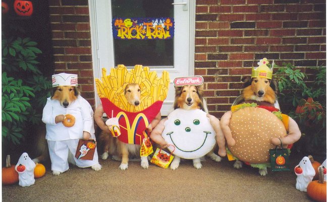 The Fast Food Gang