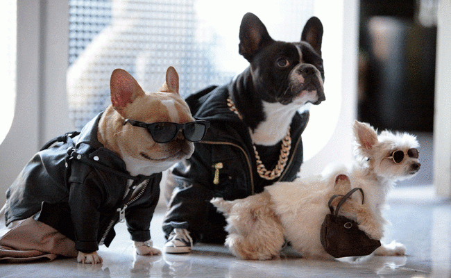 Squad Goals