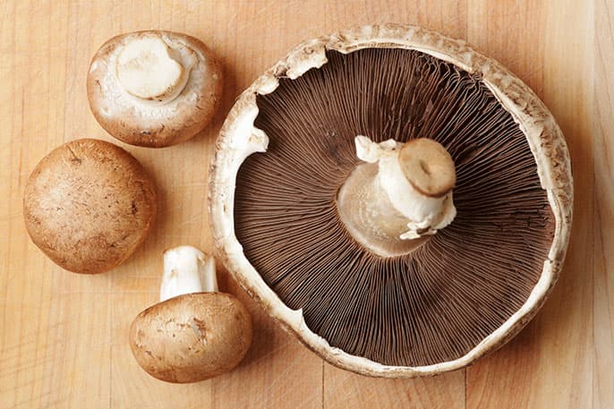 Portabello Mushrooms