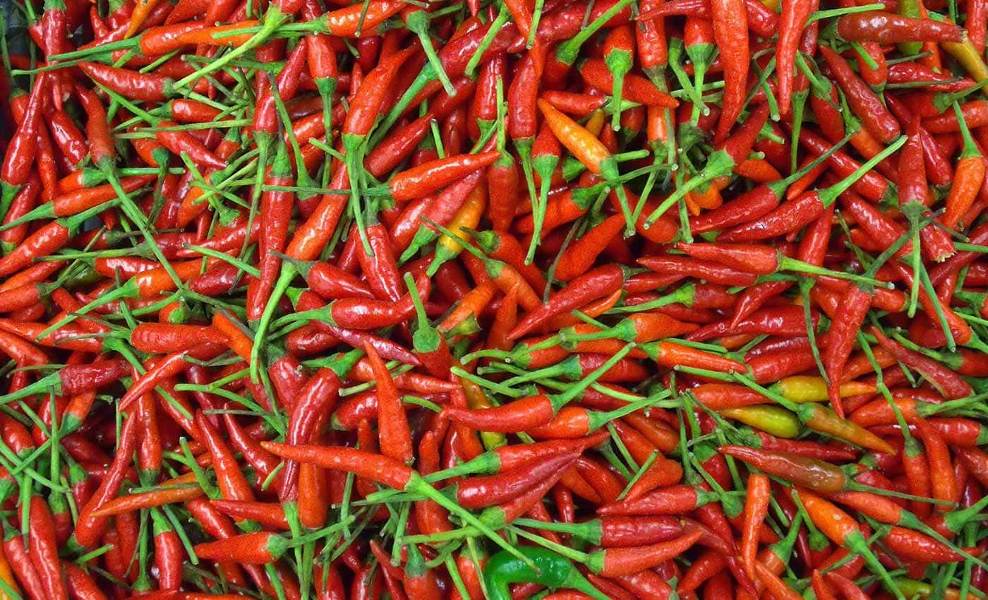 Chili Peppers