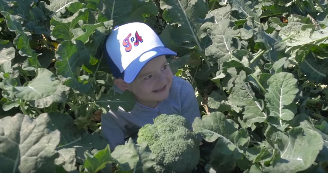 Broccoli