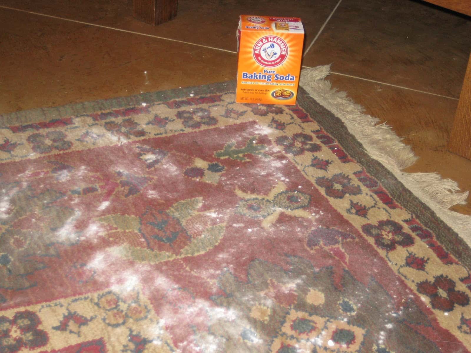 Get vomit off your carpet