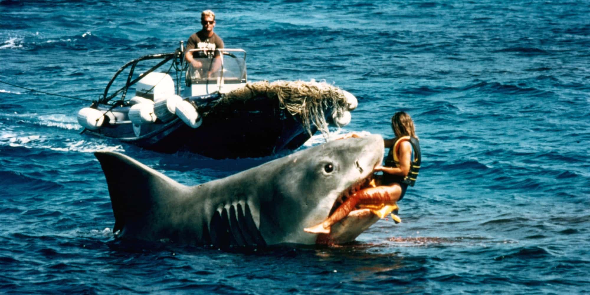 Shark