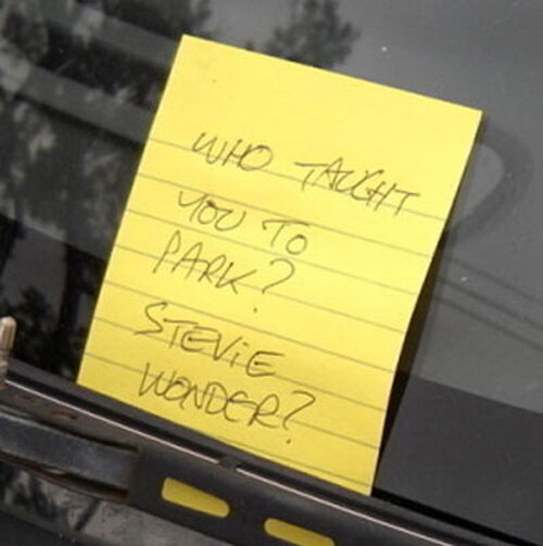 [Image: Stevie.png]