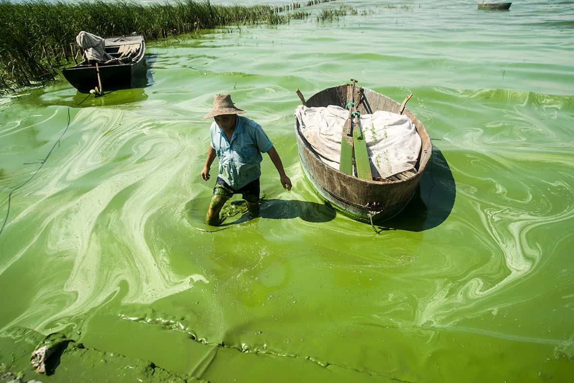 Chaohu Lake In China