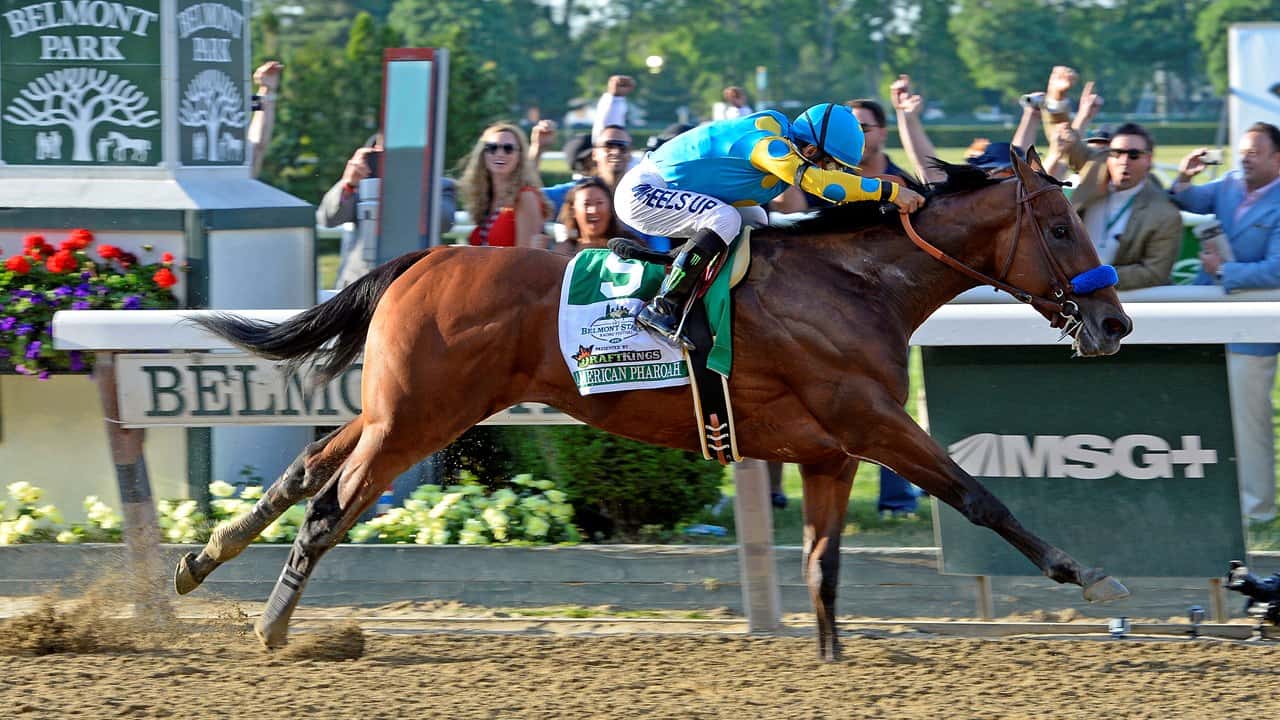 American Pharoah – Net Worth $4.53 Million