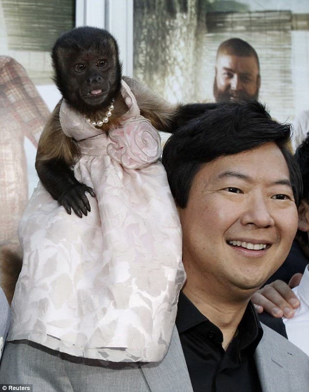 Crystal The Monkey – Earned $12,000 Per Episode