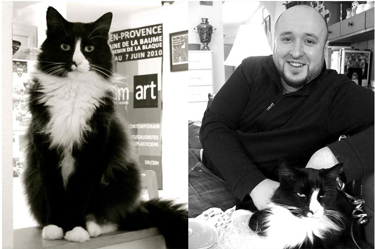 Henri, Le Chat Noir – Earns $1,000 A Week