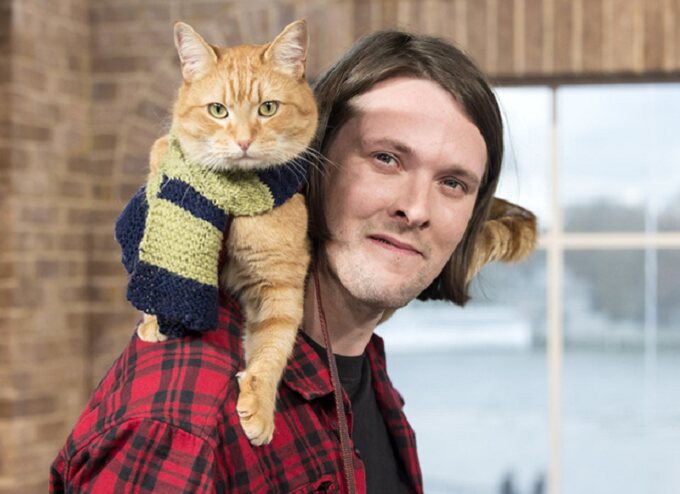 Street Cat Bob – Estimated Earnings £500k
