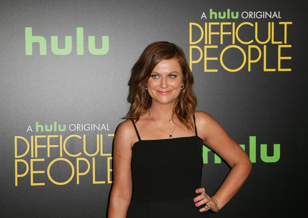 Amy Poehler To Make Directorial Debut With Netflixs Wine Country1